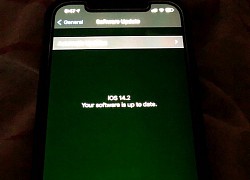 Những điểm mới trên iOS 14.5 Beta 2: Khắc phục lỗi nghiêm trọng trên iPhone 12, bảo vệ quyền riêng tư trên iPad