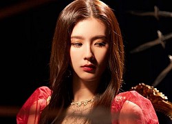 Rosé (BLACKPINK), Mina (TWICE), Miyeon (G)I-DLE... cứ liên tục được réo gọi tên khi nói về visual đỉnh, thì ra là có 1 điểm chung!