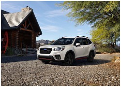 Subaru Outback và Forester đang bán tại Việt Nam sẽ có phiên bản off-road