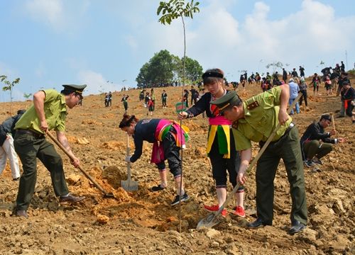 Tầm quan trọng của rừng ven biển trong ứng phó với biến đổi khí hậu