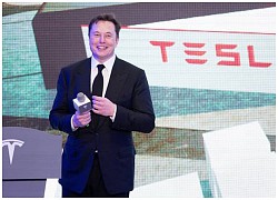 Tesla chọn Ấn Độ để xây nhà máy thứ hai ở châu Á