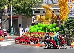 Tết vừa hết, người qua đường đã vội bẻ hoa trang trí trên phố