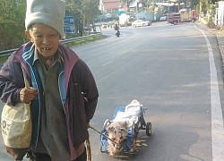 Thương chú chó không thể đi lại vì tai nạn, bà cụ kéo xe đưa em về nhà