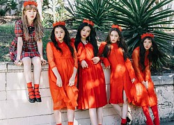 Vì sao netizens đệ đơn lên chính phủ Hàn để yêu cầu Red Velvet hoãn comeback ?