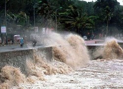 Chủ động ứng phó gió mạnh, sóng lớn trên biển và bão gần Biển Đông