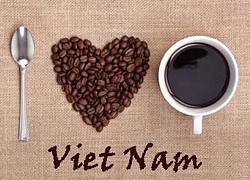 Giá cà phê hôm nay 19/2: Duy trì đà tăng, cà phê robusta chạm 1.380 USD, thị trường vẫn chờ thêm tin mới