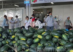 Hỗ trợ tiêu thụ nông sản ở các vùng dịch