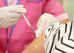 Hơn 200 triệu liều vaccine ngừa COVID-19 đã được tiêm chủng trên toàn thế giới