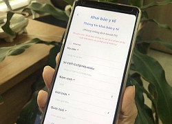 Người dân đã có thể khai báo y tế trực tuyến qua ứng dụng Bluezone