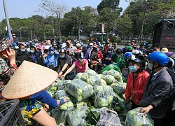 Người Hà Nội giải cứu nông sản: "Thương lắm, sốt ruột lắm nên phải ủng hộ"