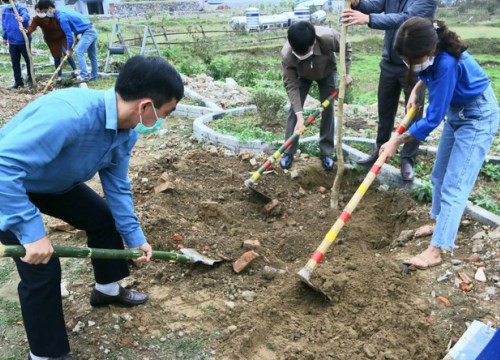 Ra quân Tết trồng cây ở Khánh Hoà, Thanh Hóa