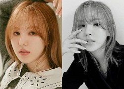 Wendy (Red Velvet) "đại náo" tạp chí sau 1 năm gặp tai nạn kinh hoàng ở SBS Gayo: Mặt biến dạng, nhưng visual vẫn gây bão MXH