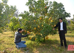 Xã Thuần Lộc &#8220;về đích&#8221; nông thôn mới