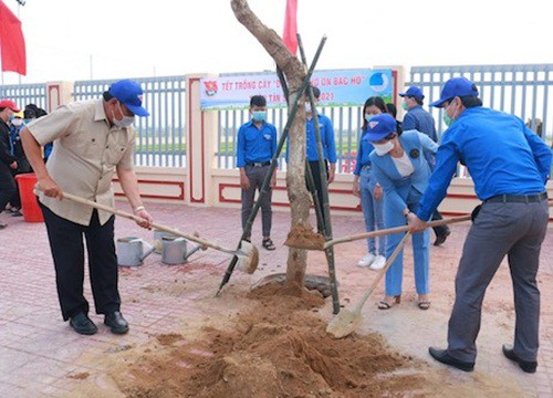 Bình Định: Phát động Tết trồng cây "Đời đời nhớ ơn Bác Hồ" tại thị xã An Nhơn