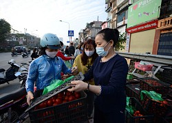 Các hệ thống phân phối của Hà Nội nỗ lực hỗ trợ tiêu thụ nông sản từ Hải Dương