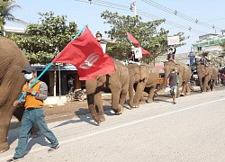 Cưỡi voi đi biểu tình ở Myanmar