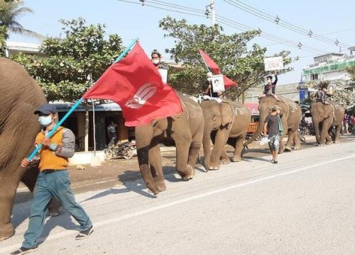 Cưỡi voi đi biểu tình ở Myanmar