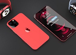 Hình ảnh render về iPhone 2021 Pro