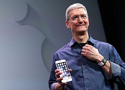 Một ngày làm việc của CEO Apple Tim Cook