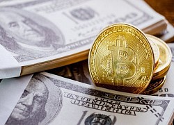 Chính phủ Mỹ có thể 'ép' Bitcoin để bảo vệ đồng USD