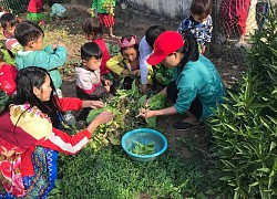 Cô Mỷ "nối tương lai" cho trẻ vùng cao