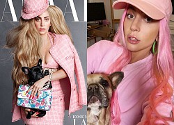 Cuộc sống "hoàng gia" của thú cưng Lady Gaga trước khi bị cướp trộm: "Đeo trang sức, dắt lên thảm đỏ"