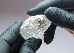 Đấu giá viên kim cương 242 carat với mức khởi điểm 2 triệu USD