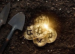 Giá Bitcoin hôm nay 25/2: Bitcoin bẻ lái, tiền ảo vụt tăng