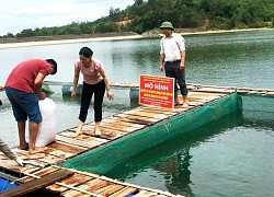 Giải pháp phát triển nghề nuôi cá nước ngọt ở huyện Thạch Thành