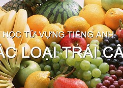 Tên 24 loại quả trong tiếng Anh