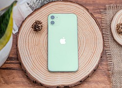 Bảng giá iPhone đầu tháng 3 - iPhone 12 giảm 7 triệu, iPhone Xs Max chỉ còn 12,19 triệu