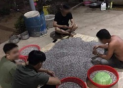 Bốn thanh niên ngồi quanh một "gò đen" giữa sân, ai cũng bất ngờ khi biết công việc của họ