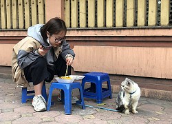 Chú mèo tỏ thái độ &#8216;hờn dỗi cả thế giới&#8217; khi &#8216;con sen&#8217; &#8216;ăn mảnh&#8217; một mình, nhìn biểu cảm cute muốn xỉu!