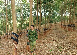 Dân làm theo "túi tiền" của trưởng thôn