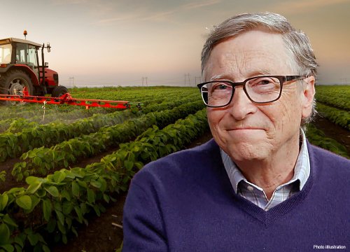 Hé lộ lý do khiến tỷ phú Bill Gates mua nhiều đất nông nghiệp tại Mỹ