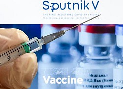 Nga khẳng định vaccine của nước này hiệu quả với các biến thể SARS-CoV-2