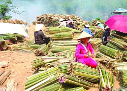 Những chiếc &quot;cần câu&quot; thay đổi cuộc sống người dân vùng khó