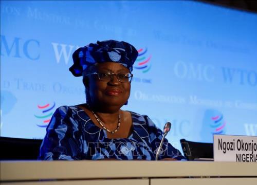 Tân Tổng Giám đốc Ngozi Okonjo-Iweala bắt đầu ngày làm việc đầu tiên tại WTO