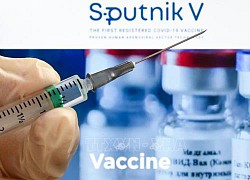 Vaccine Sputnik-Light nộp đơn đăng ký tại Nga