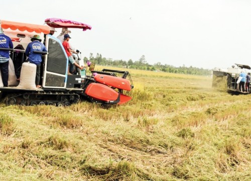 Vào vụ đông xuân bội thu