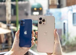 Đây là mẫu iPhone 12 có giá bằng, thậm chí còn thấp hơn cả iPhone 11