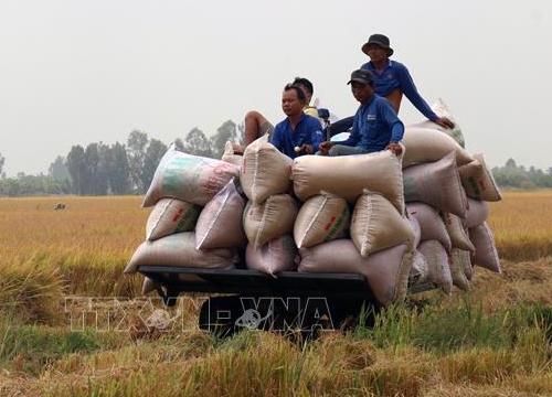 Diện mạo mới của Gò Quao khi đạt huyện nông thôn mới