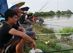 Đơn xin đi câu cá anh chồng gửi cho "nóc nhà" khiến cánh mày râu tái mặt, tự nhủ "thà ở vậy còn hơn"