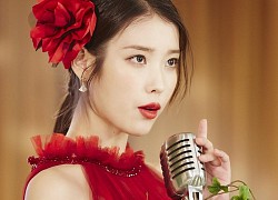 Fan IU và Rose khẩu chiến "nảy lửa" về danh hiệu nghệ sĩ solo