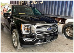 Bán tải Mỹ - Ford F-150 2021 đầu tiên về Việt Nam