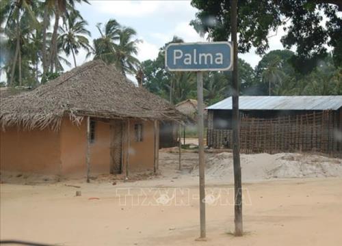 IS tuyên bố chiếm đóng thị trấn Palma ở Bắc Mozambique