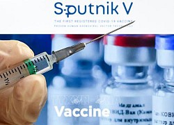 Nga thông báo sản xuất vaccine Sputnik V tại Trung Quốc