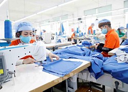 May Nam Tiến sẽ tạo thêm việc làm cho khoảng 5.000 lao động