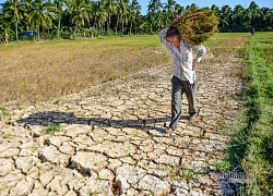 Nước mắt vùng ngập mặn