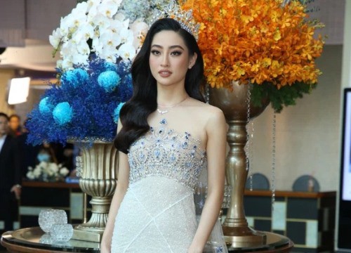 Camera thường "bóc" nhan sắc dàn hậu tại thảm đỏ Miss World VN: Tiểu Vy, Lương Thuỳ Linh vẫn xinh xắn, Cẩm Đan nhìn mà thấy tiếc!